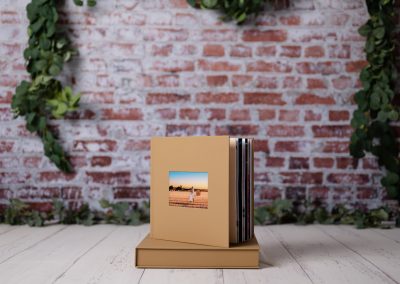 album, photo book, wall art, 3d casting, folio box, frame box , memories