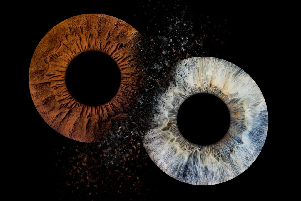 iris photography servies in the studioi