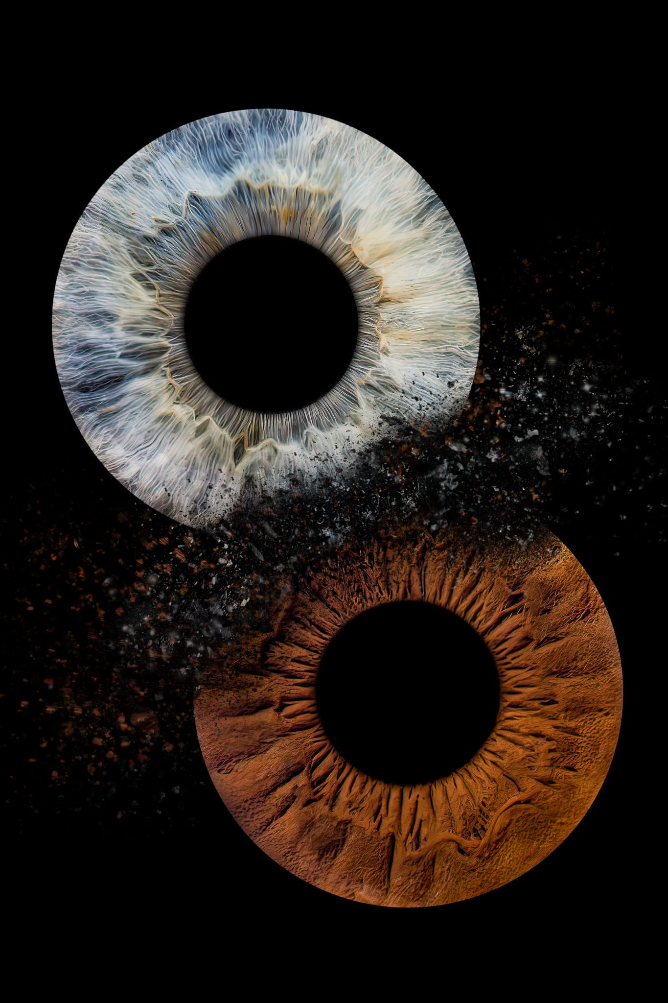 iris photography servies in the studioi