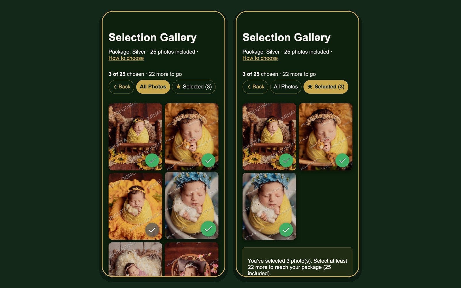 Choosing photos with the live counter and the Selected tab