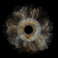 beautiful iris photography portrait with whater splash beautiful iris photography portrait with whater splash