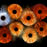 iris eye family photography iris eye family photography