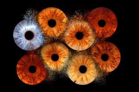 iris eye family photography iris eye family photography