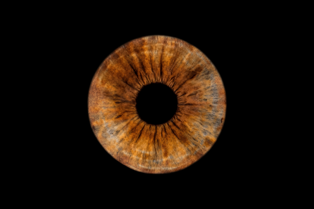 iris photography brown eye in milton keyns at Mihai Gonguta - Photo Studio iris photography brown eye in milton keyns at Mihai Gonguta - Photo Studio