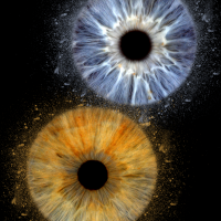 family eye photography family eye photography