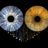 iris photography iris photography