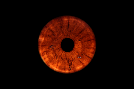 dark brown iris eye photography dark brown iris eye photography