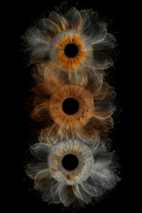 iris efect trio iris photography iris efect trio iris photography