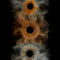 iris efect trio iris photography iris efect trio iris photography