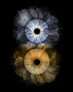 eye iris photography in MK eye iris photography in MK