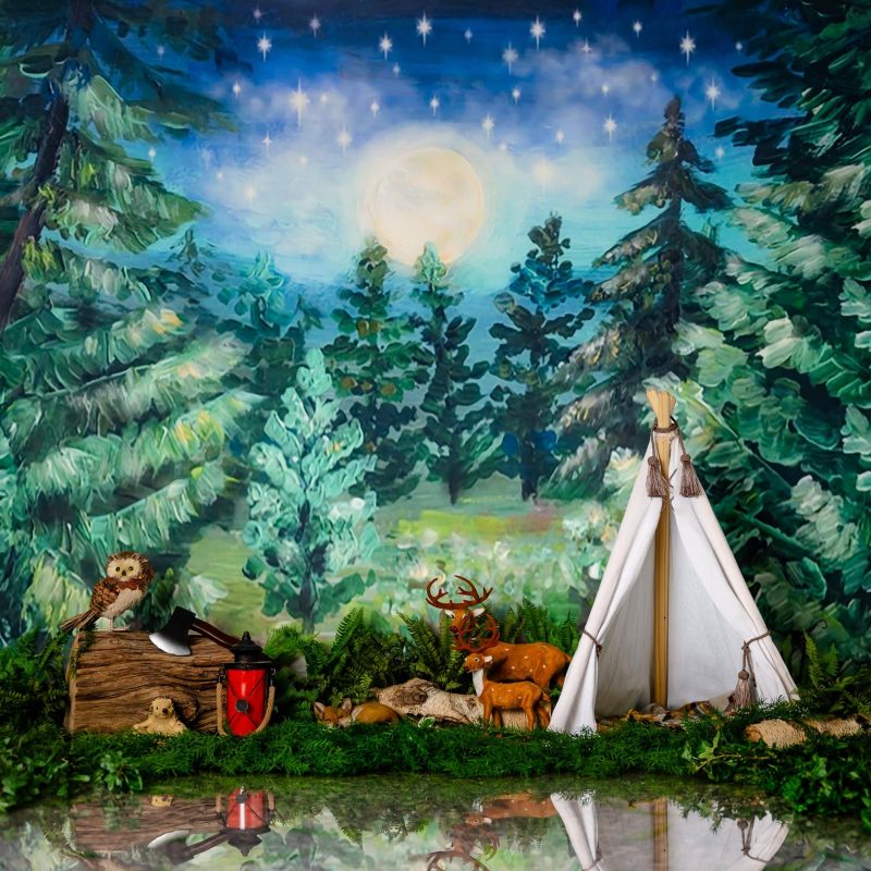 camping decor for little boys birthday party