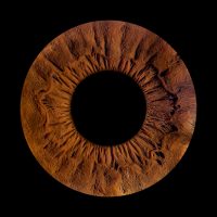 Artistic iris photography highlighting personal eye details in high resolution