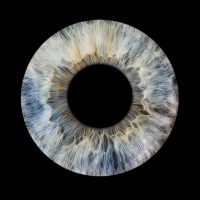 Macro iris portrait showing the unique structure and tones of the human eye