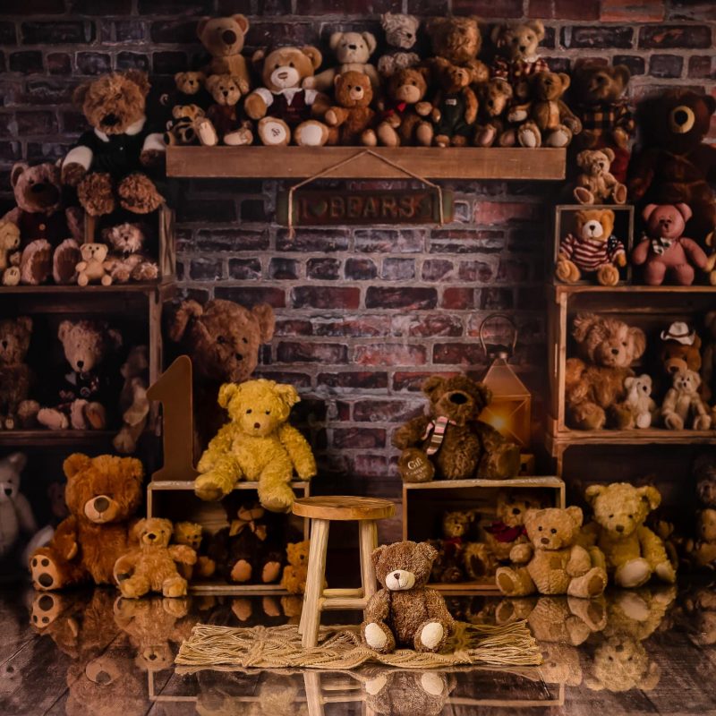 teddy bears theme at the studio