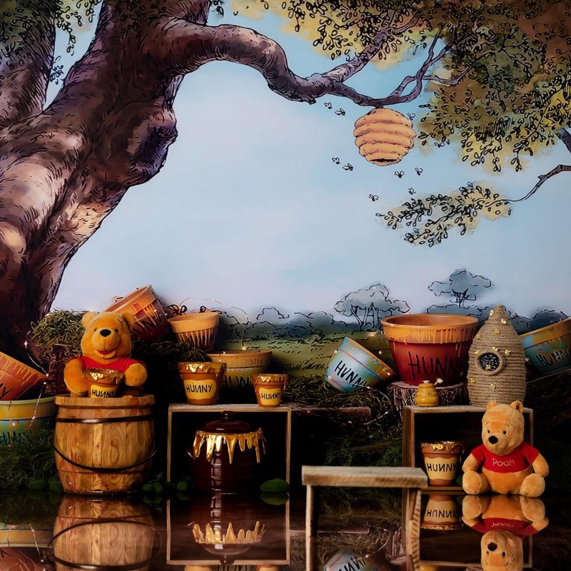 winnie theme for cake smash