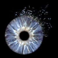 macro iris photography in milton keynes macro iris photography in milton keynes