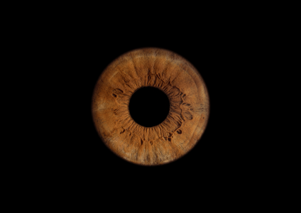 brown eye iris photography brown eye iris photography