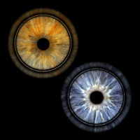 eye photography in milton keynes eye photography in milton keynes