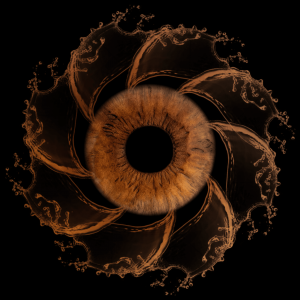 spiral awake iris photography spiral awake iris photography