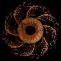 spiral awake iris photography spiral awake iris photography