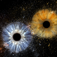 iris photography in milton keynes iris photography in milton keynes