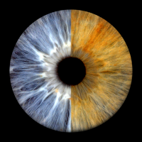 iris photography in mk iris photography in mk