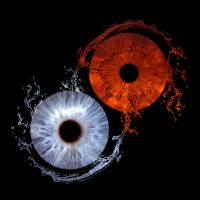 macro eye photography macro eye photography