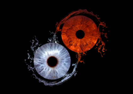 macro eye photography macro eye photography