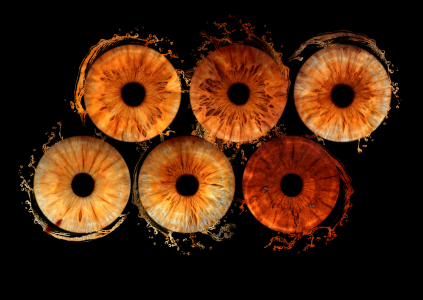 template design for iris photography template design for iris photography