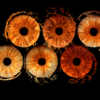 template design for iris photography template design for iris photography