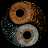 Ying Yang iris photography design Ying Yang iris photography design