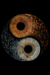 Ying Yang iris photography design Ying Yang iris photography design