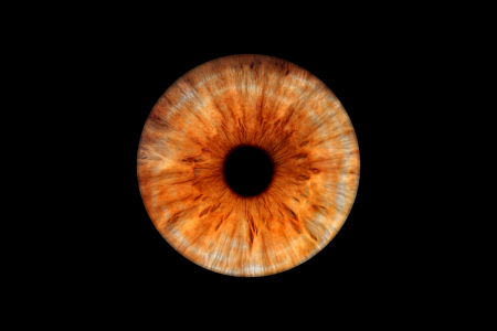 light brown iris photos light brown iris photos