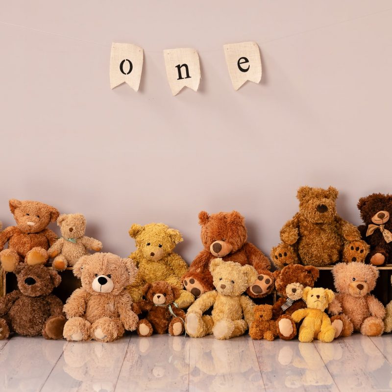 a simple and clean teddy bear theme for babys