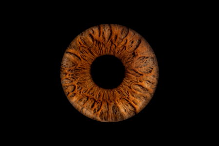 super texture on a brown iris photography at mihai gonguta photo studio super texture on a brown iris photography at mihai gonguta photo studio