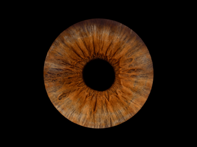 iris photography in milton keynes, iris print , iris photos iris photography in milton keynes, iris print , iris photos