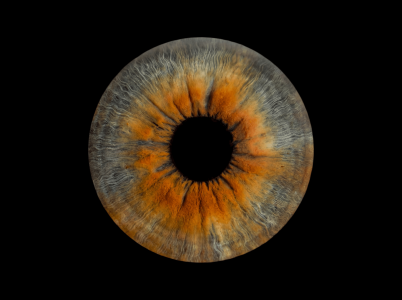 iris photography, iris print , iris photos iris photography, iris print , iris photos