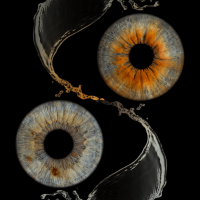 long water splash iris photography long water splash iris photography