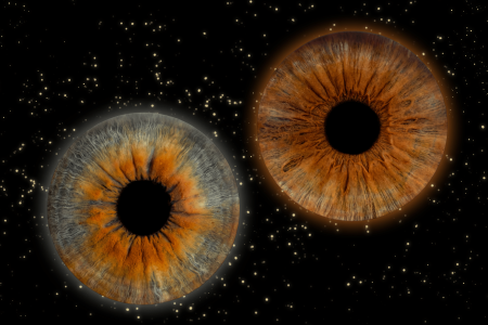 iris photography design for wall print iris photography services in the studio