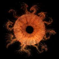 iris photography in milton keynes