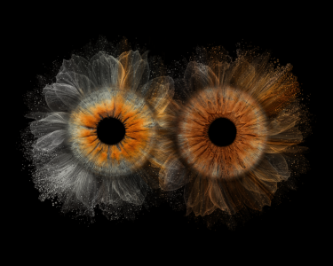 iris photography dual irises flower effect iris photography services in the studio, iris photography dual irises flower effect