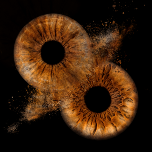 2 brown iris photography at mihai gonguta photo studio in milton keynes 2 brown iris photography at mihai gonguta photo studio in milton keynes