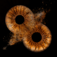 2 brown iris photography at mihai gonguta photo studio in milton keynes 2 brown iris photography at mihai gonguta photo studio in milton keynes