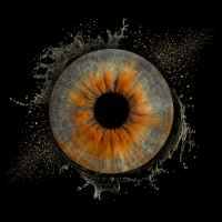 iris photography water splash effect design for wall print iris photography water splash effect design for wall print