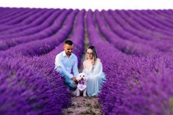 Family & Dog Portrait | Professional Photography Milton Keynes