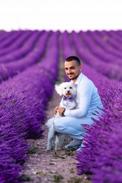 Action dog photography capturing the joy of running β outdoor sessions available across Northamptonshire.